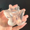 Chiboki Coconut Oil Squishy Toy