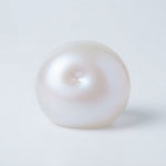 Chiboki Coconut Oil Squishy Toy