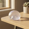 Chiboki Coconut Oil Squishy Toy
