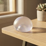 Chiboki Coconut Oil Squishy Toy